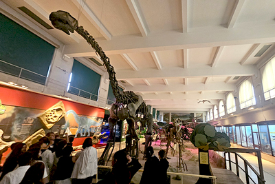 Visita al Museo de Ciencias Naturales 